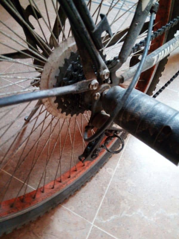 Thunder bicycle 2