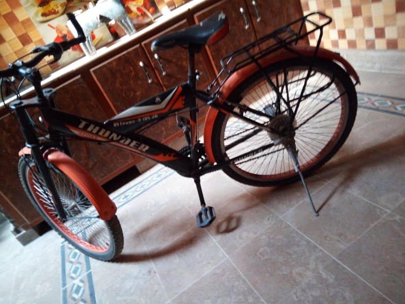 Thunder bicycle 6