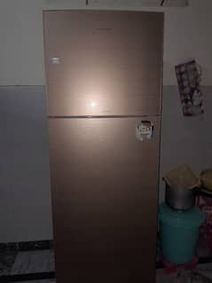 Fridge SINGER