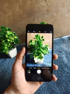 iPhone 7 Plus