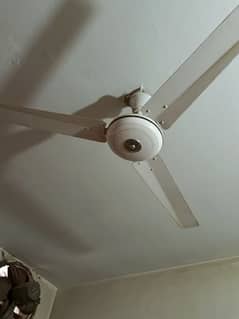 ceiling