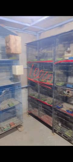 all cage for sale