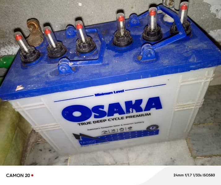 Osaka 19 palate 0