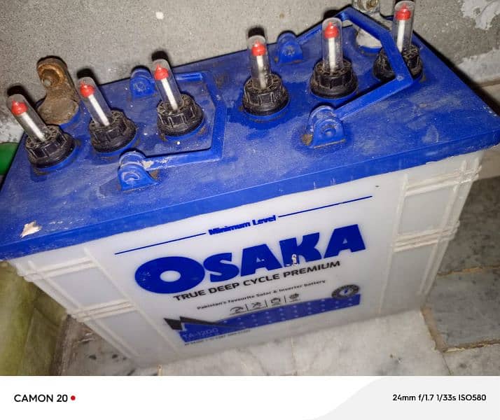 Osaka 19 palate 2