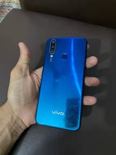 vivo