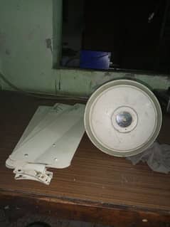 Ceiling