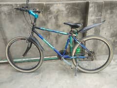 Cycle