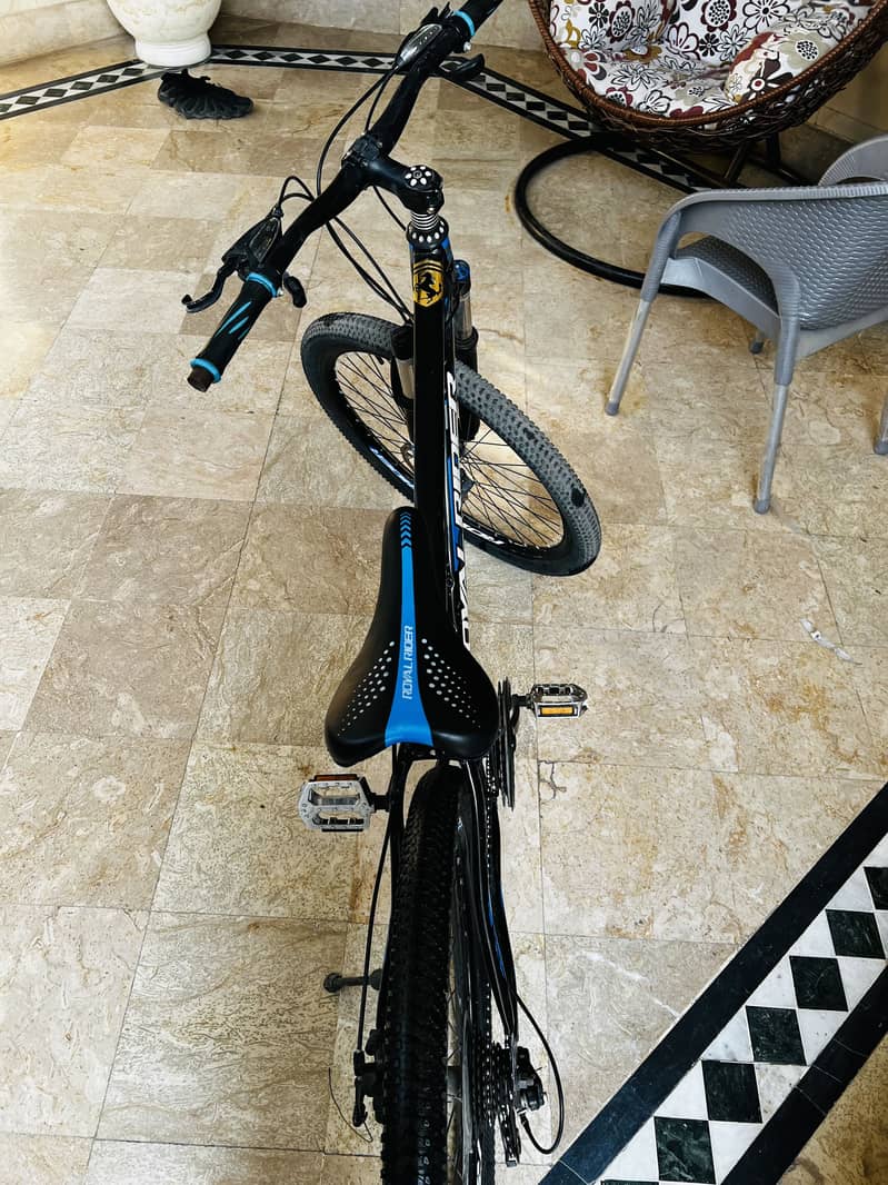 Hiking Bicycle 1