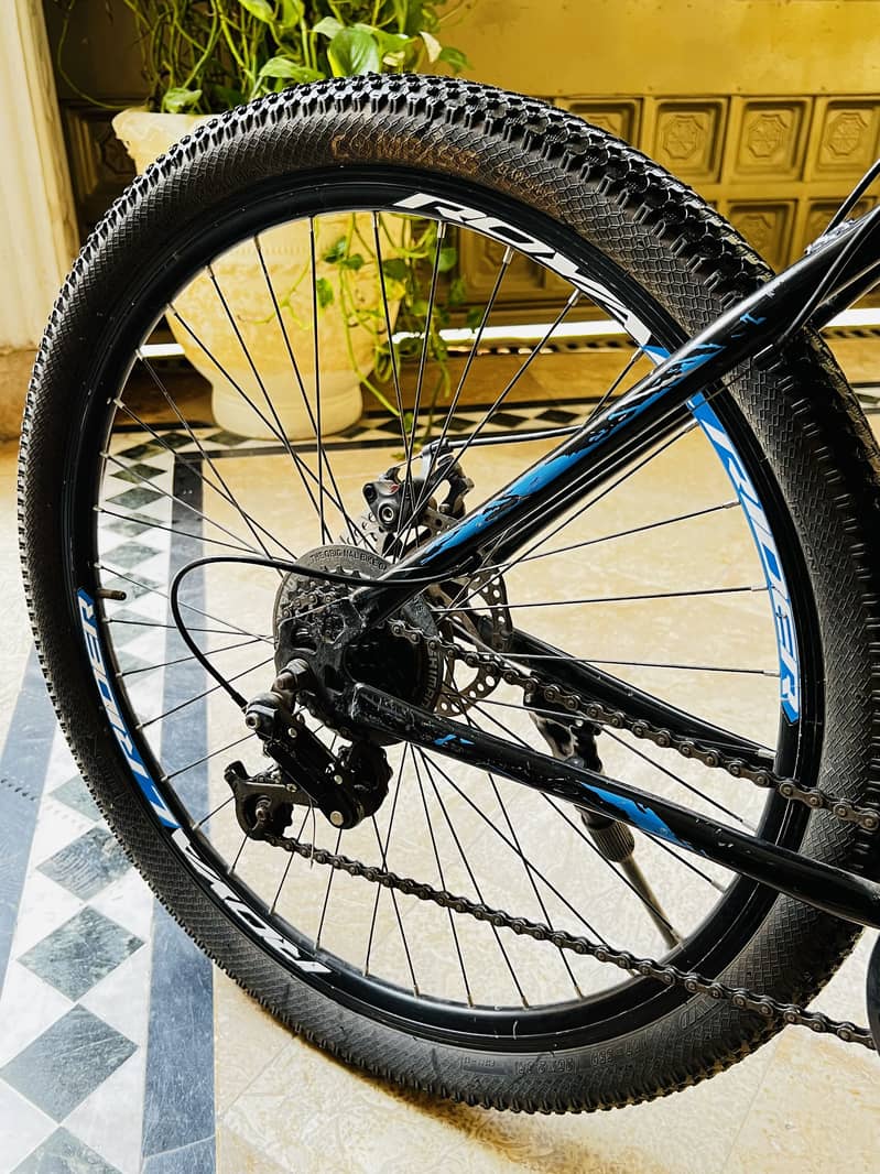 Hiking Bicycle 2