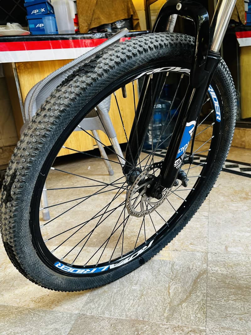 Hiking Bicycle 4