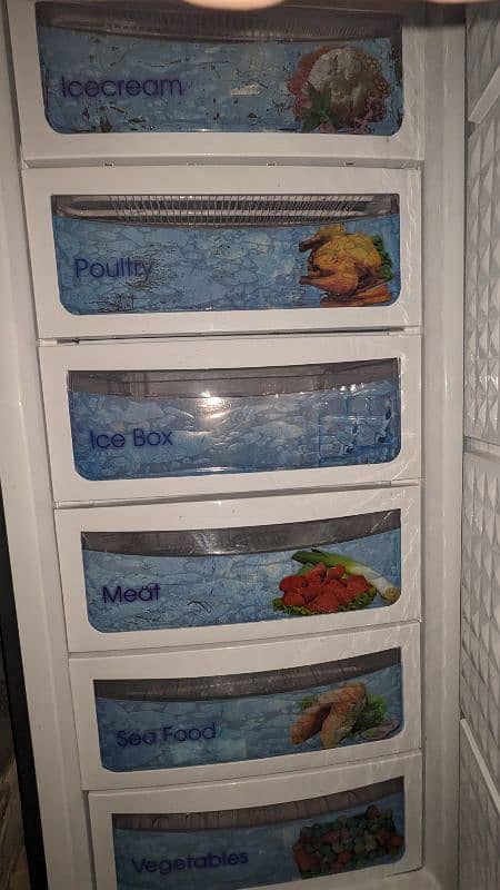 Vertical Freezer 0