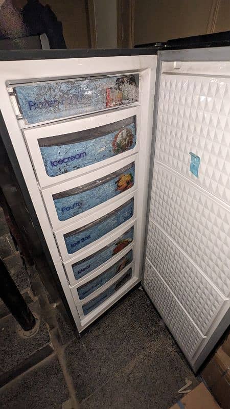 Vertical Freezer 1
