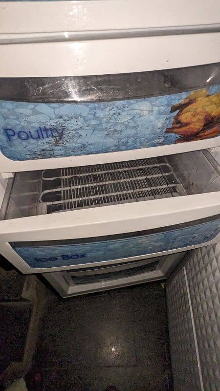 Vertical Freezer 4