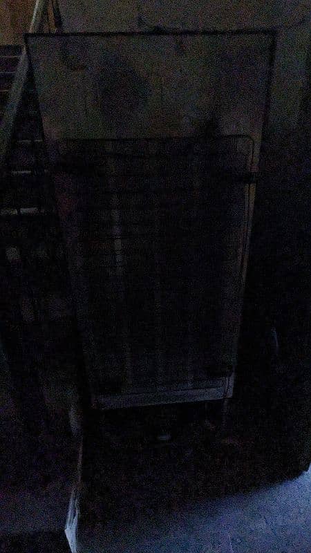 Vertical Freezer 5