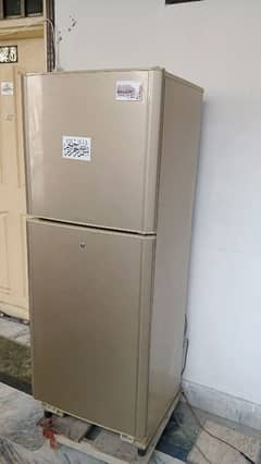 PEL Fridge