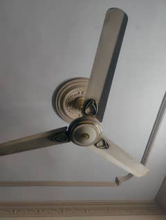 pak fan
