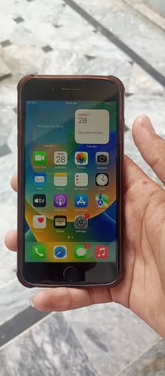 8plus non pta