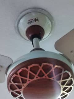 wahid celling fan fancy