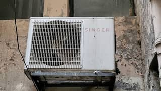 Singer