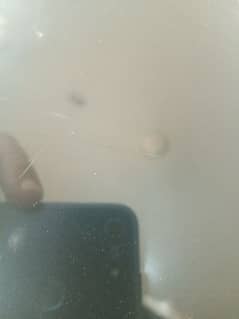 board dead