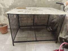 iron cage