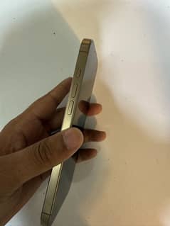 16pro