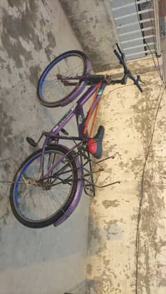bicycle