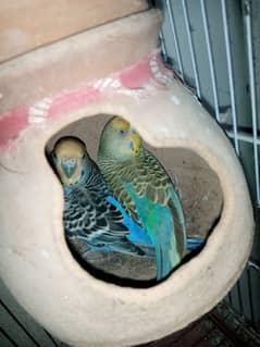 I