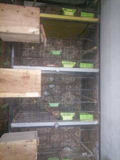 cages