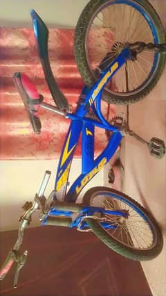 sycles