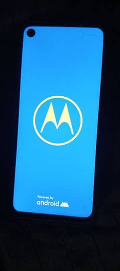 motorola