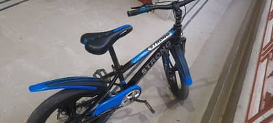 Sports Company Imported Model Bicycle