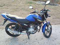 Beautiful YBR Yamaha 125 is available for sale