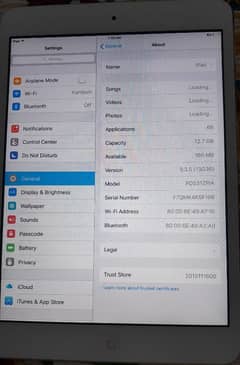 ipad 2 mini
