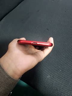 iPhone XR non pta Jv