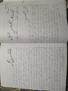 creative copywirter or assignment writer