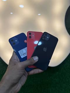 iphone 12 dual pta
