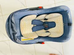 carry coat
