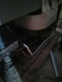 Haier