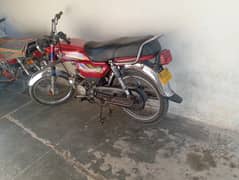 Union Star 70cc 2021