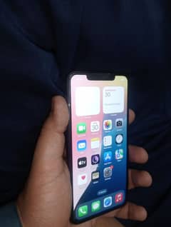 11 pro max Non J. V 256GB