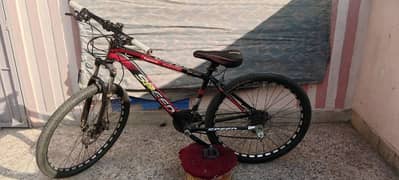 Cycle