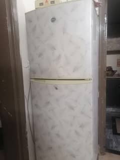 PEL fridge