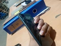 vivo