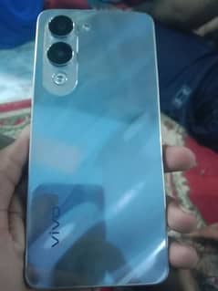 Vivoy04