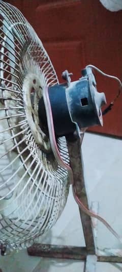12 volt fast fan