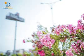 8 Marla Residential Corner Plot Available For Sale in Faisal Town F-18 Islamabad.