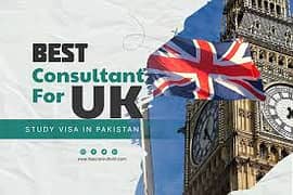 VISA CONSULTANCY LAW FIRM