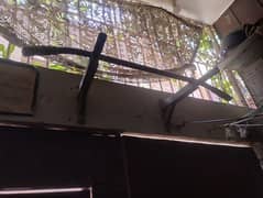 exercise