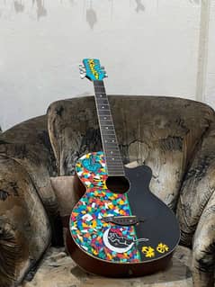 Professional Guitar for sale